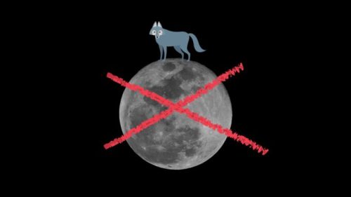 La pleine Lune « du loup » est une simple pleine Lune. // Source : Canva