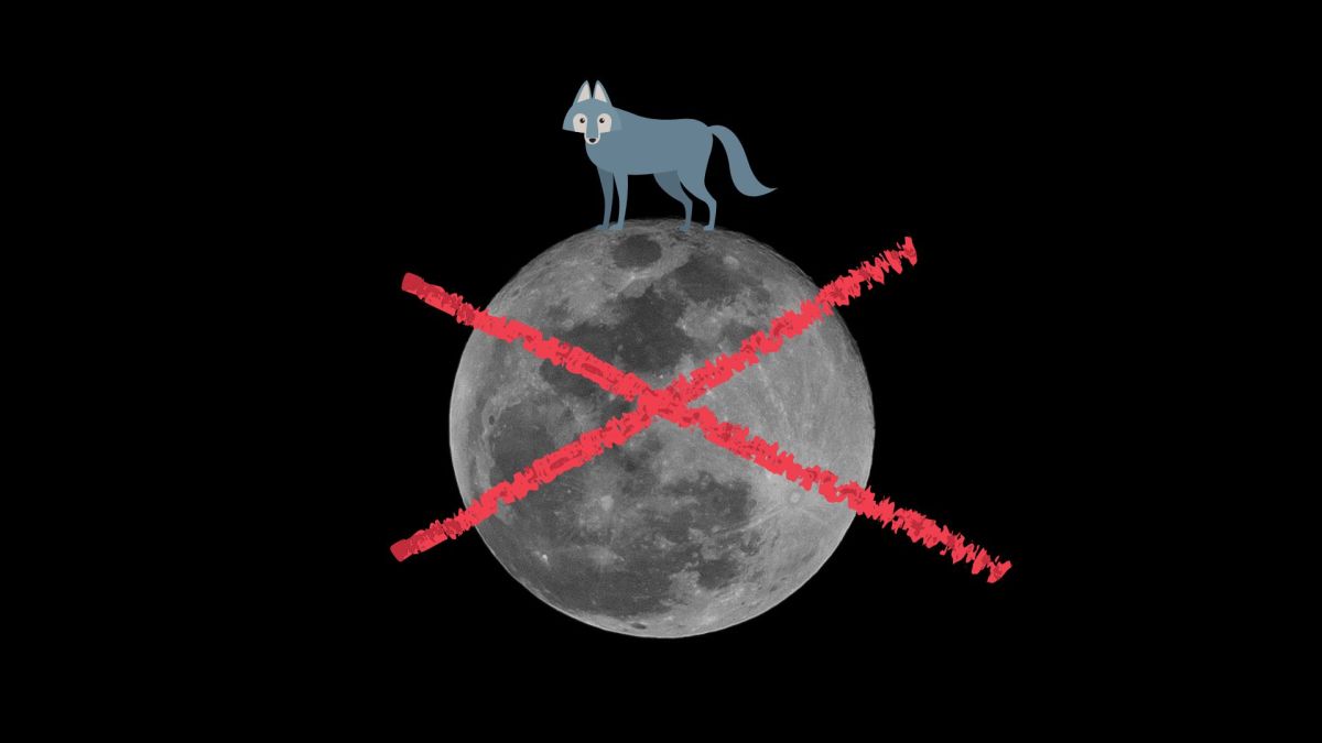 La pleine Lune « du loup » est une simple pleine Lune. // Source : Canva