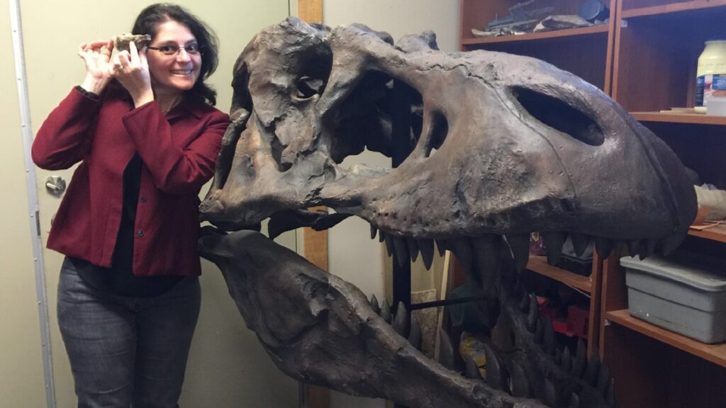 Suzanne Herculano-Houzel with a life-size reproduction of the T Rex Sue skull.  // Source: Suzanne Herculano-Houzel