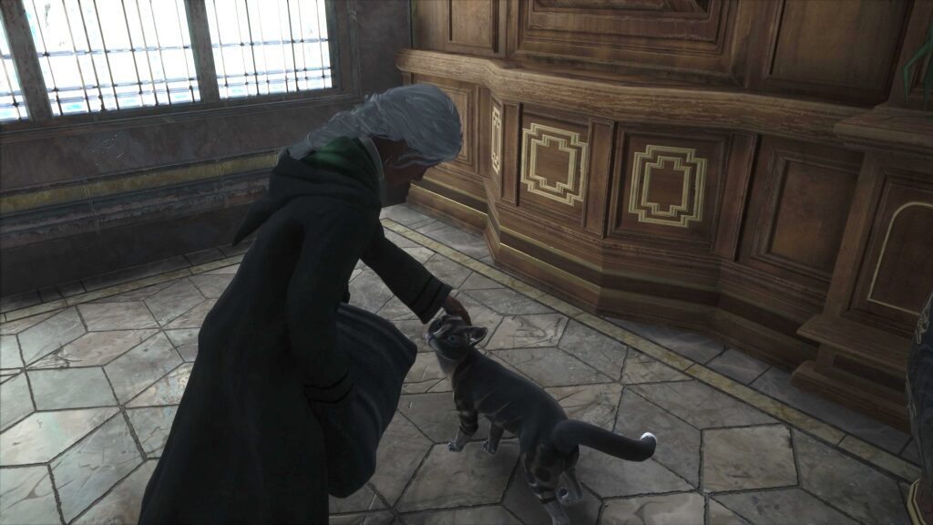 Les chats dans Hogwarts Legacy // Source : Capture PS5