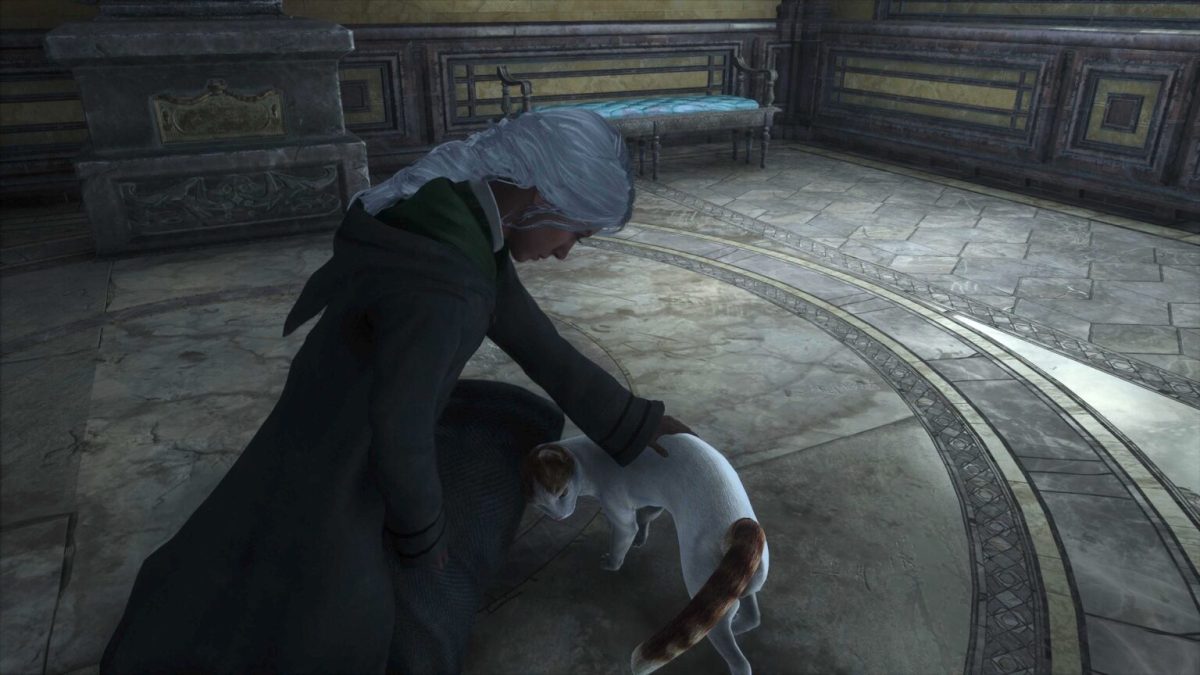 Les chats dans Hogwarts Legacy // Source : Capture PS5