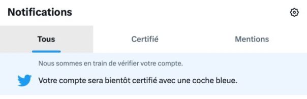 Il suffit de payer pour être en attente de certification, mais ce n'est pas instantané.  // Source : Capture Numerama