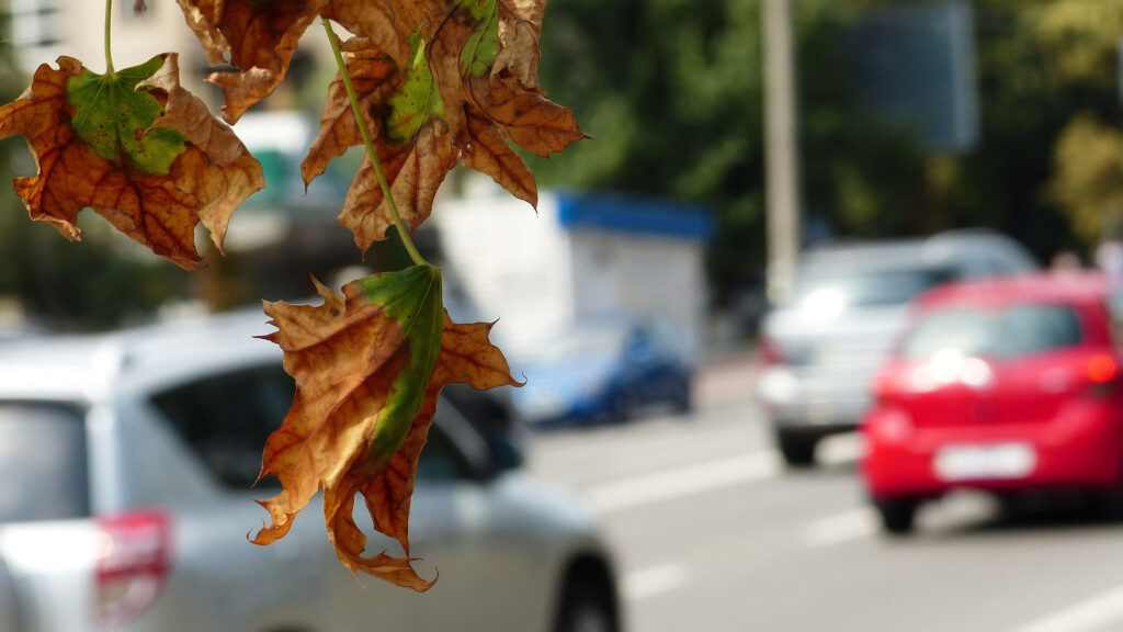 Qualité de l'air et voiture en ville // Source : Laila_ - Pixabay