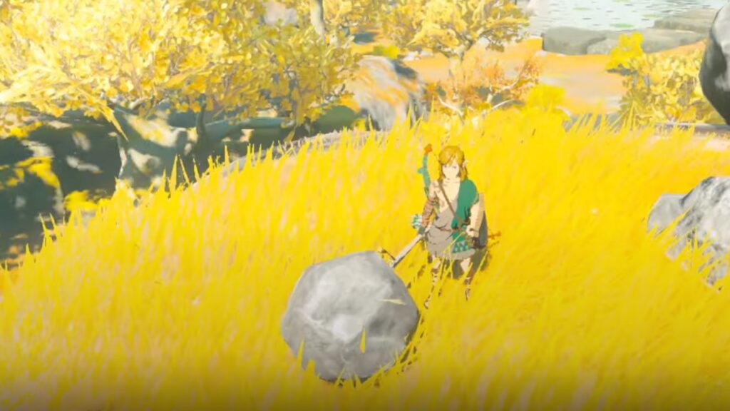 The Legend of Zelda: Tears of the Kingdom // Source : Capture YouTube