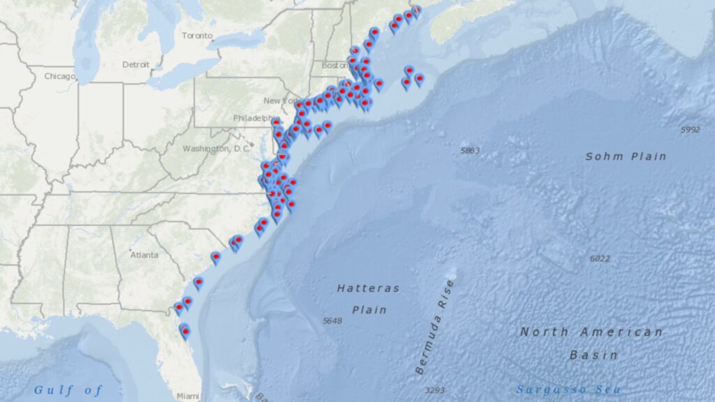 Map of whales found dead on the US Atlantic coasts.  // Source: NOAA