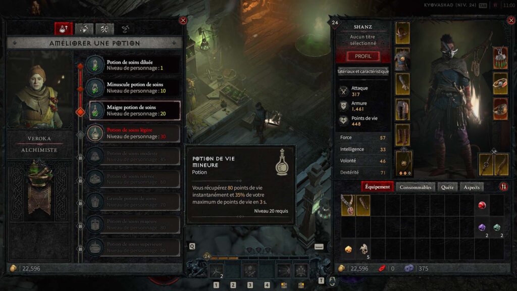 Diablo 4 potion de soins