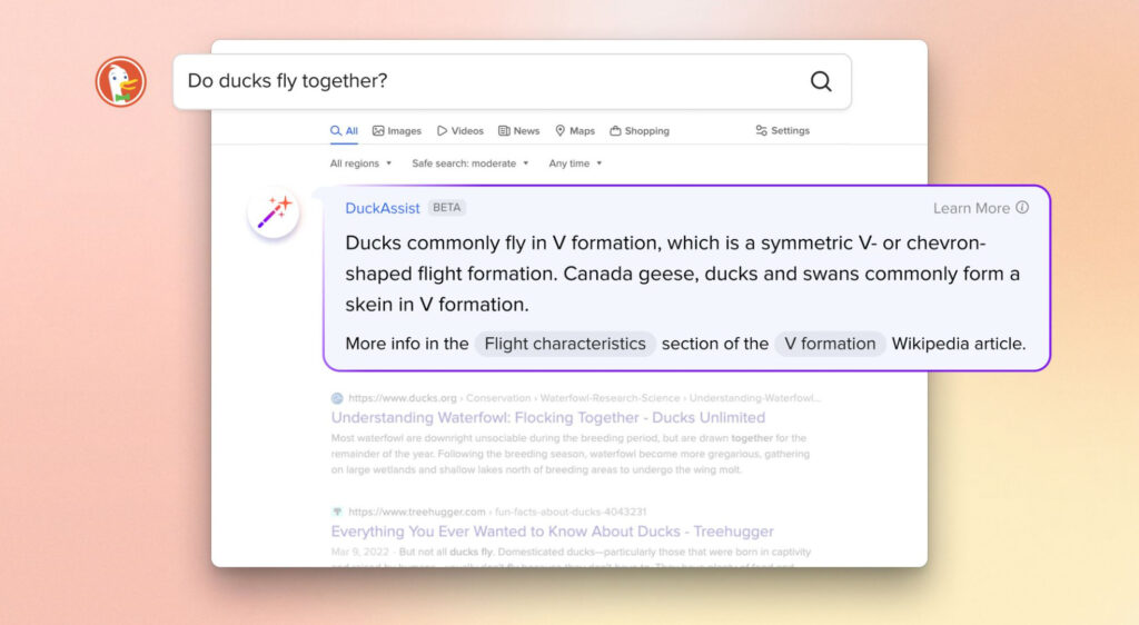 Duck Assist // Source : DuckDuckGo