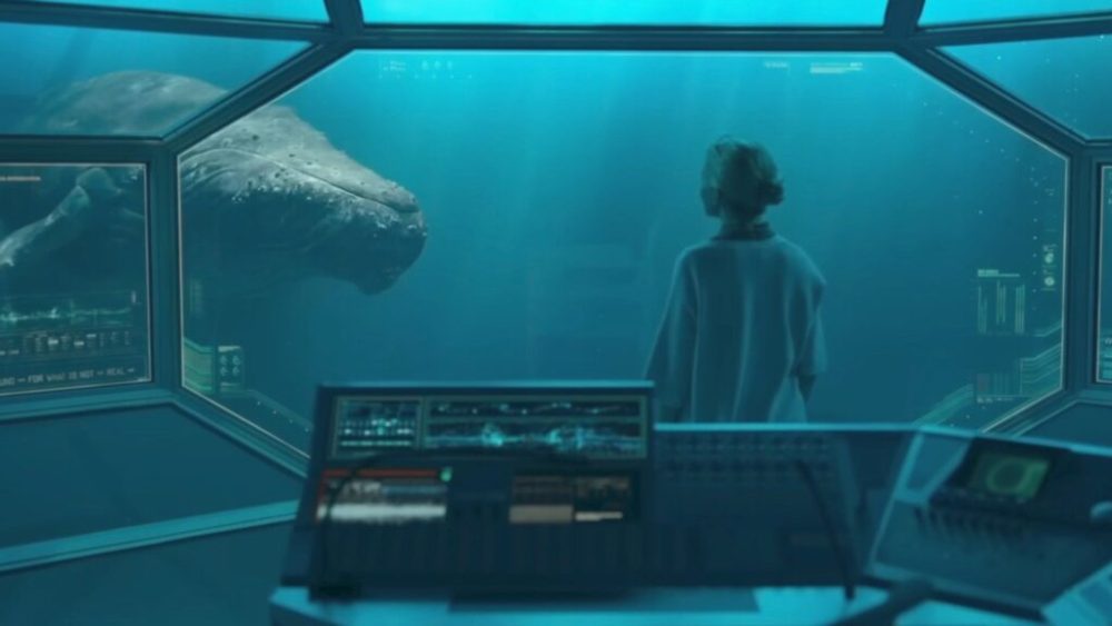 L'épisode 2 d'Extrapolations met en avant la communication animale, avec une baleine. Un récit poignant. // Source : Apple TV+