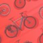 location-velo-electrique