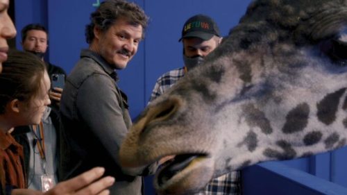Pedro Pascal // Source : HBO (making of)