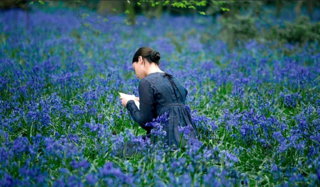 Bright Star // Source : Laurie Sparham Bright Star // Source : Laurie Sparham