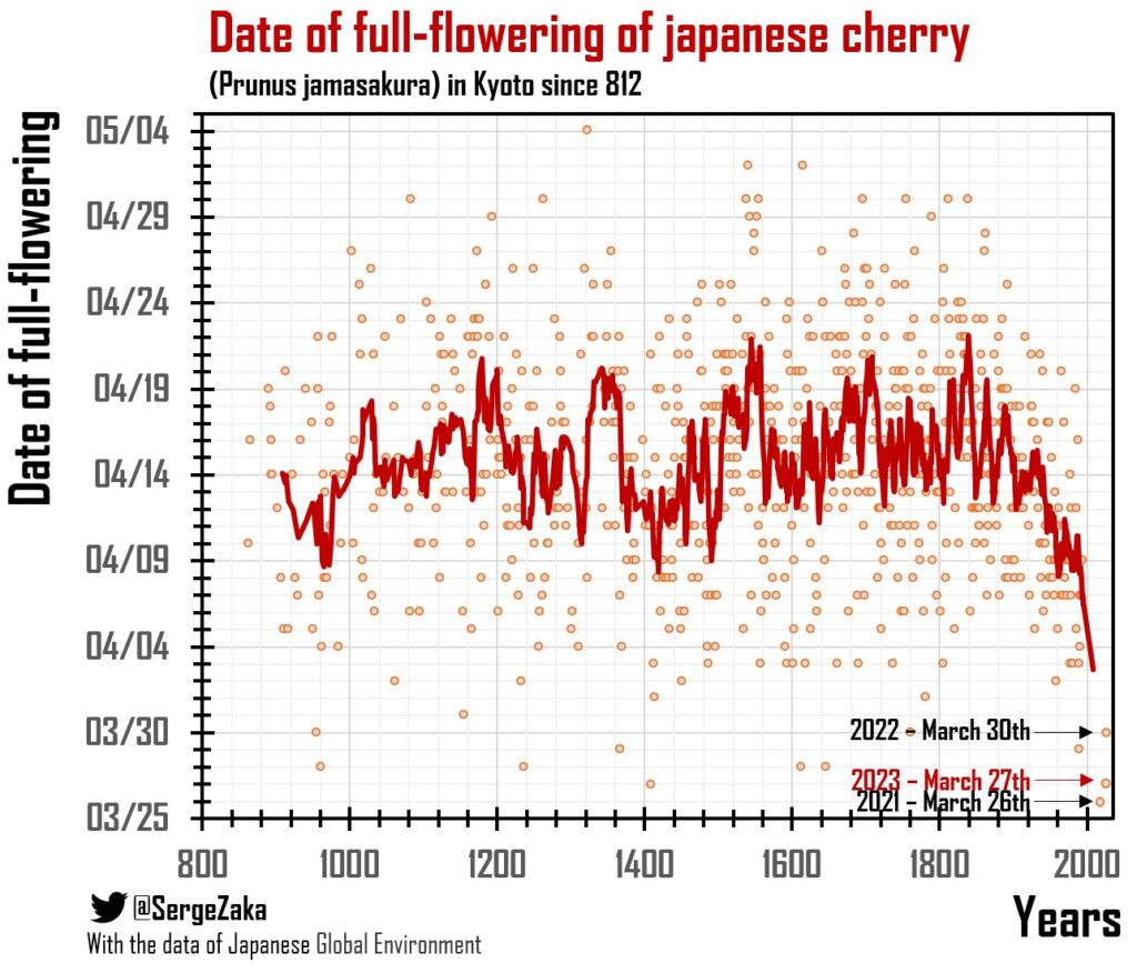 Graphique de l'évolution de la floraison des fleurs de cerisier, au Japon. // Source : Serge Zaka / Japanese Global Environment