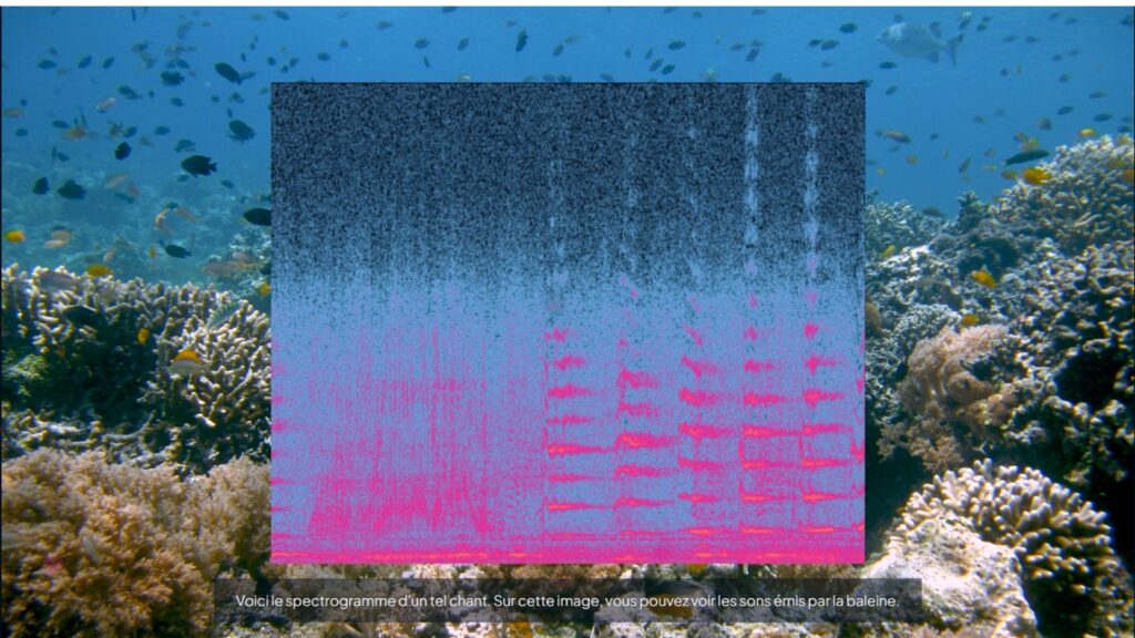 Le spectrogramme d'une // Source : Capture d'écran Numerama