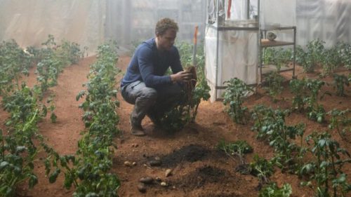 Matt Damon fait pousser des patates sur la planète rouge. // Source : Seul sur Mars