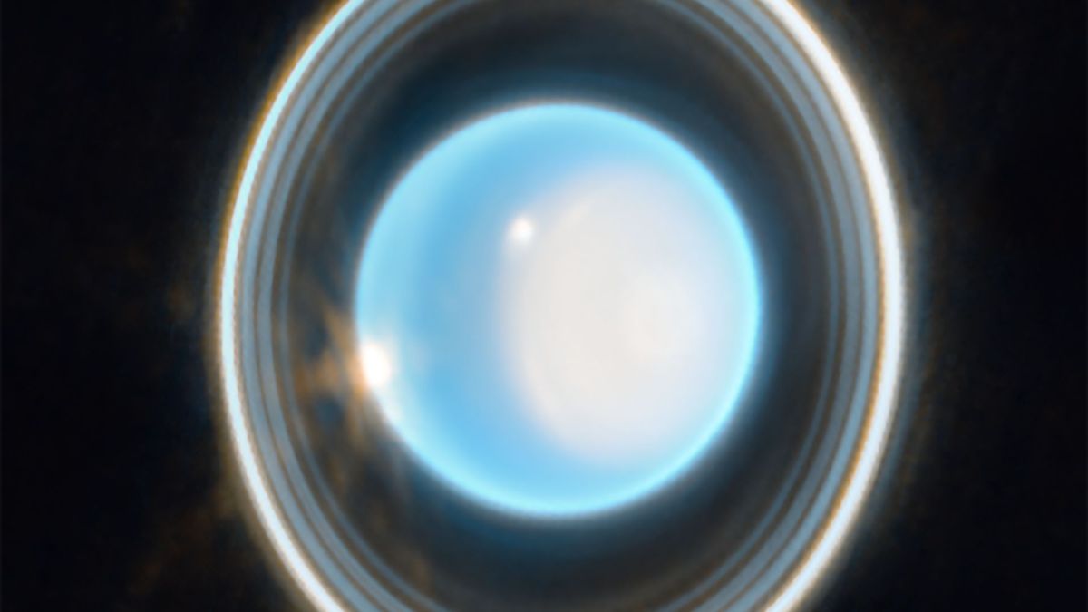 Uranus (février 2023) // Source : James Webb Telescope