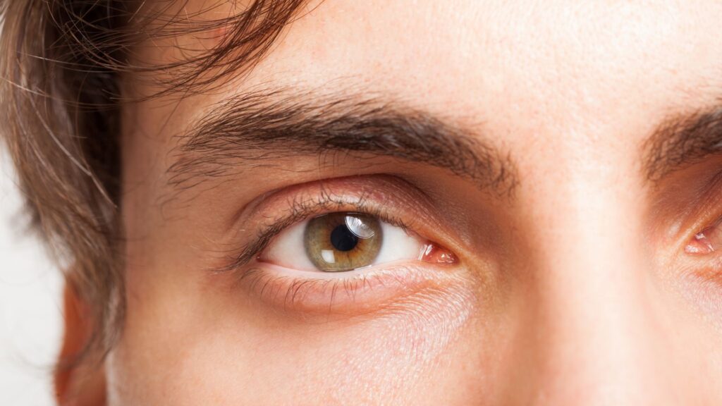 la peau du contour de l’œil est bien plus fine que sur le reste du corps. // Source : Canva