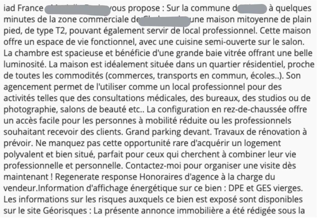 Annonce immobilière générée par IA (2)