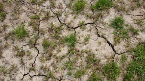 Les épisodes de sécheresse s'accentuent en raison du changement climatique. // Source : Pixabay