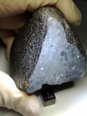 La météorite Black Beauty, qui s'est crashée en Inde à la fin du 19e siècle. // Source : NASA