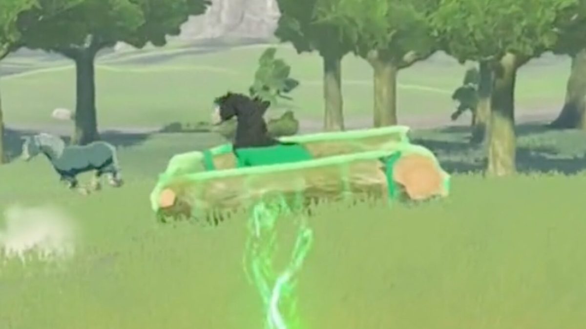 Piège pour attraper un cheval dans The Legend of Zelda: Tears of the Kingdom // Source : Capture TikTok