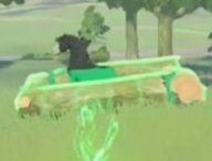 Piège pour attraper un cheval dans The Legend of Zelda: Tears of the Kingdom // Source : Capture TikTok