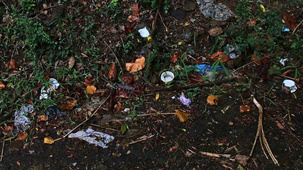 Le littering crée des amoncellements de déchets sur les bords de route. // Source : Wikimédias