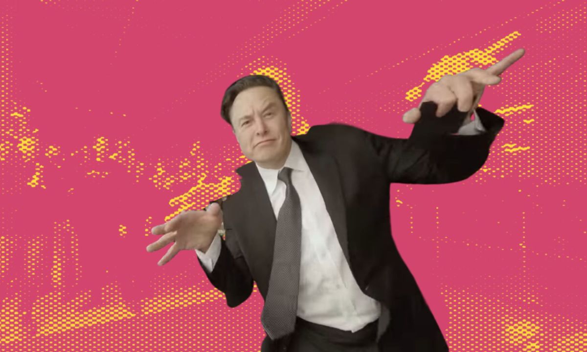 Elon Musk // Source : Montage Numerama / Vidéo Skynamic 