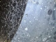 Météorite martienne black beauty // Source : NASA