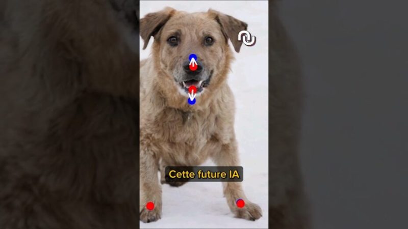 DragGAN, l’IA qui réinvente vos photos