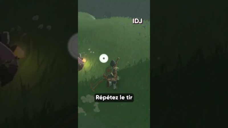 L’astuce pour sauver rapidement les korogus dans Zelda : Tears or the Kingdom !