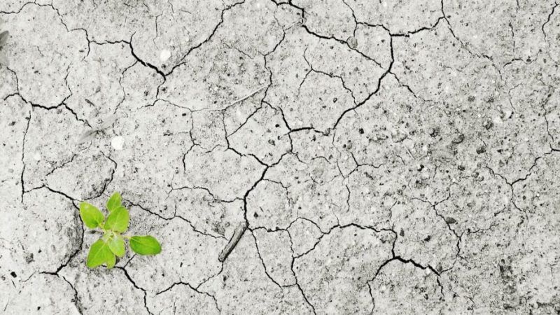 La France se prépare à 4°C de réchauffement, mais d’où vient ce chiffre ?