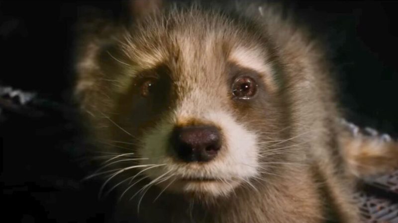 La cruauté des expérimentations animales dans les Gardiens de la Galaxie 3 est fidèle à la réalité La cruauté des expérimentations animales dans les Gardiens de la Galaxie 3 est fidèle à la réalité