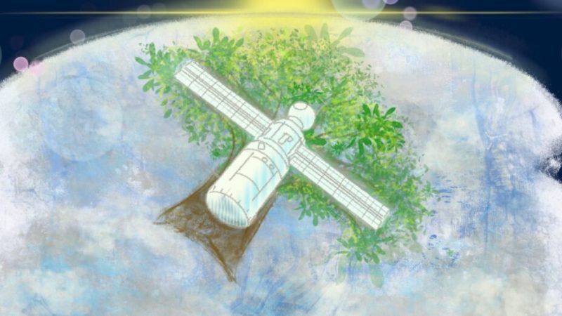 Le Japon enverra un satellite en bois dans l’espace