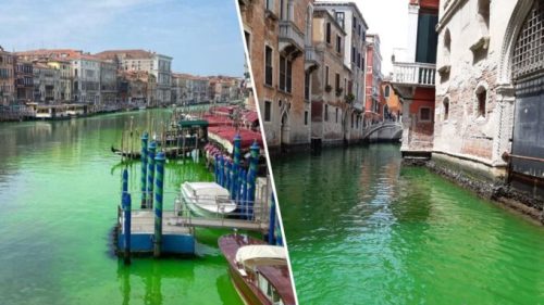 Venise. L'eau colorée en vert fluo le 28 mai. // Source : Images postées sur Twitter