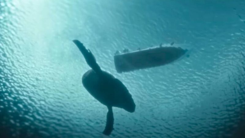 Ne passez pas à côté d’Abysses, le thriller écolo angoissant de France 2