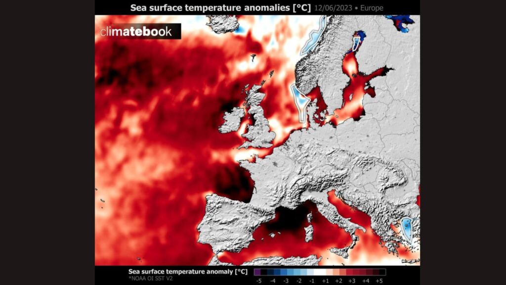 Anomalies de températures de l'océan, 12 juin 2023. // Source : Via Twitter @WxNB_