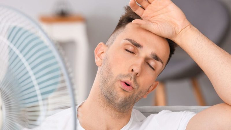 Quels sont les meilleurs ventilateurs en 2025 ? Notre sélection
