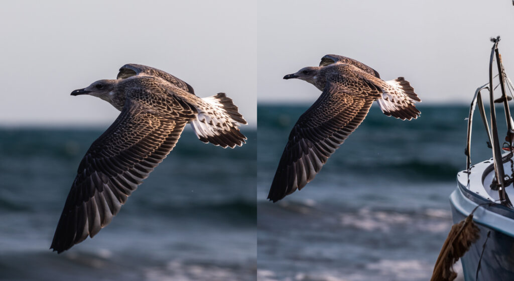 On the left the original photograph, on the right the image enlarged by AI.  // Source: Numerama