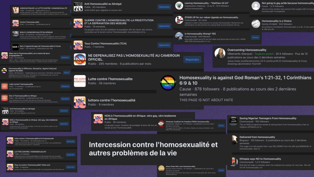 Les groupes et pages Facebook ayant des propos homophobes // Source : Capture d'écran Numerama