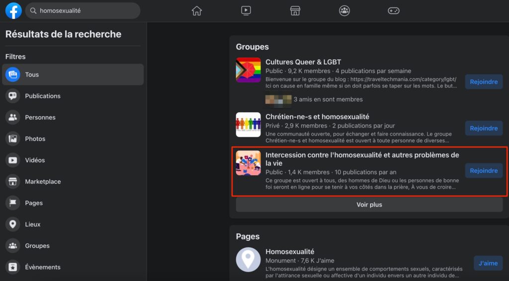 Le groupe « Intercession contre l'homosexualité » apparait parmi les premiers résultats sur Facebook pour la recherche « homosexualité » // Source : Capture d'écran Numerama