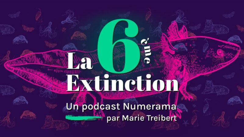 La 6e Extinction – Ép.4 – Le paradoxe de l’axolotl (Podcast)