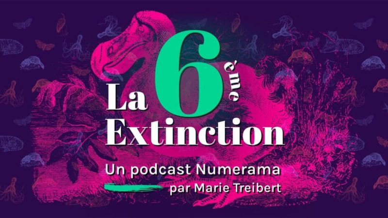 La 6e Extinction – Ép.3 – Longue vie aux dodos (Podcast)