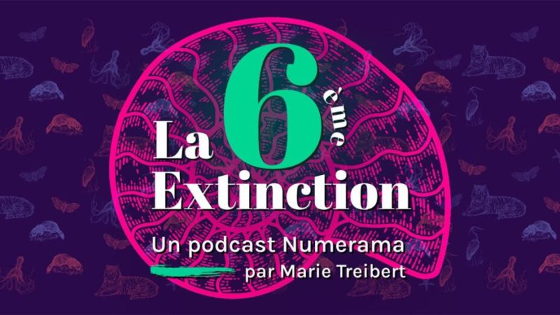 La 6e Extinction – Ép.2 – Les secrets des fossiles (Podcast)