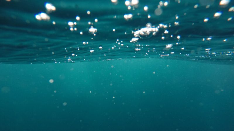 Les océans vont-ils sauver le climat en capturant le carbone ?