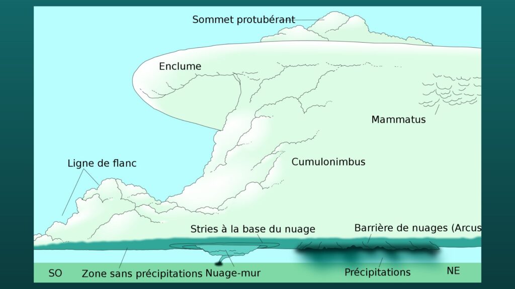 Schéma d'un orage supercellulaire. // Source : Wikimedia/CC/Vanessa Ezekowitz