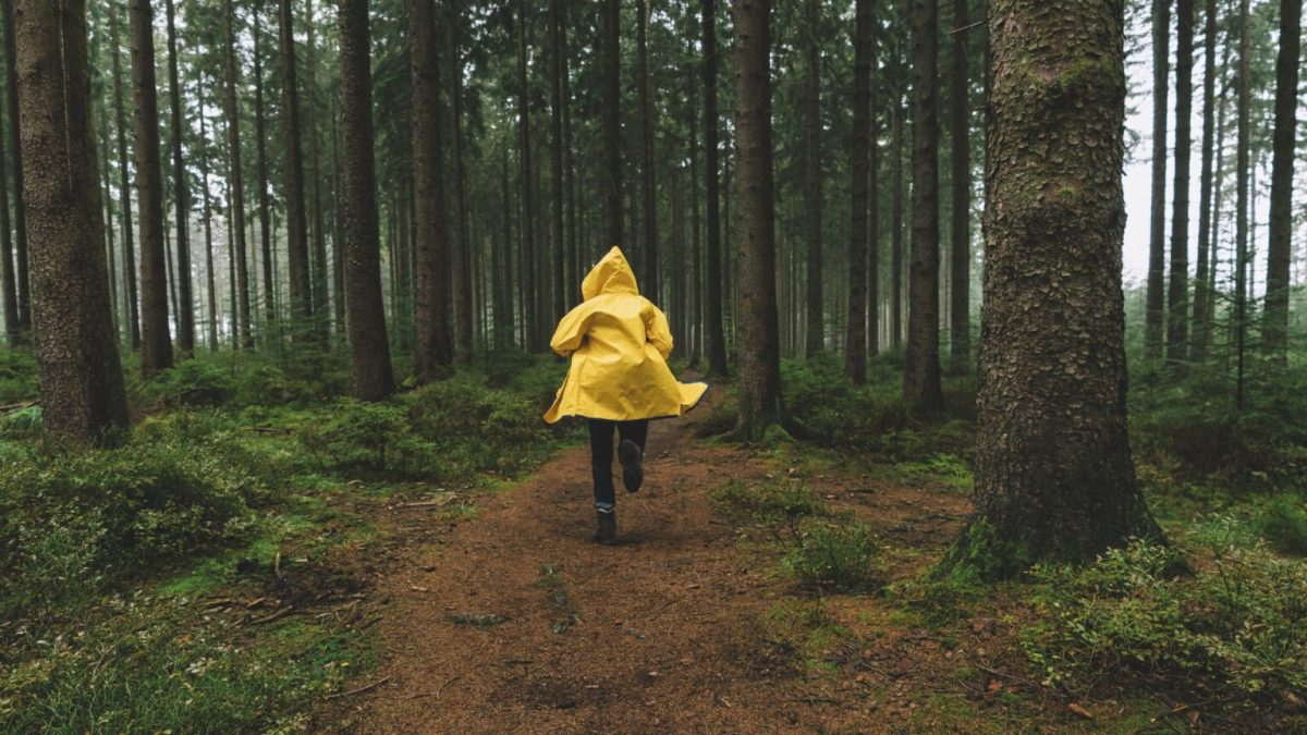 S'abriter sous un arbre pendant l'orage est dangereux. // Source : Canva