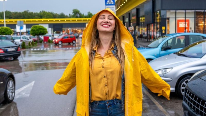 Pétrichor : la pluie a-t-elle une odeur ?
