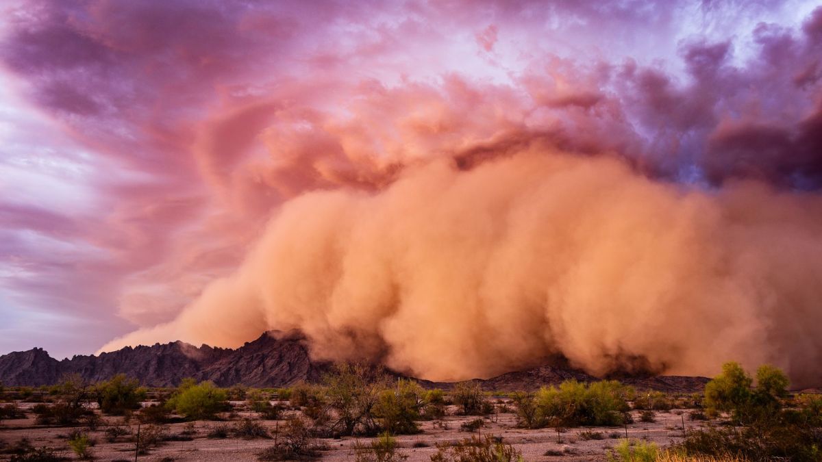 Tempête de sable. // Source : Canva