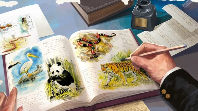 Le jeu Sur les traces de Darwin va à l’essentiel : le plaisir de jouer