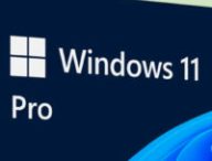 Windows 11 Pro // Source : Microsoft